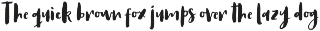 Antums Brush preview