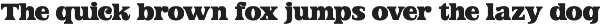 Jofjin Vikar Modern Serif Display preview