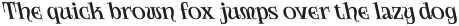 CS Amoret Reverse Italic otf (400)