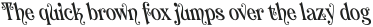 CS Aquary Reverse Italic otf (400)