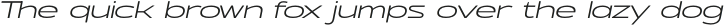 Seeker Light Italic otf (300)