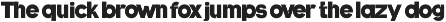 Shout Back Bold Display Sans preview