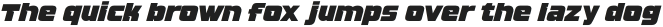 Steagle Italic otf (400)