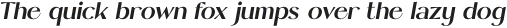 PinkSalt-BoldItalic otf (700)