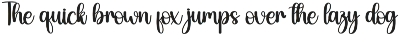 Starnight | Script Font preview