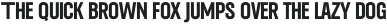 UT Unisportion Regular otf (400)