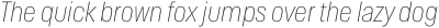 Herd Thin Italic otf (100)