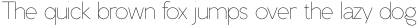 Emotive Type Sans Light otf (300)
