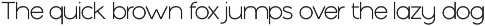 Romulus Wolf-Sans serif font family preview