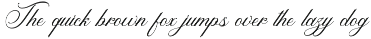Madwort - Elegant Script Font font preview
