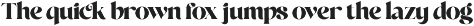 Blush Asliring - Display Retro Serif preview