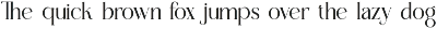 Esence Visting - New Stylish Serif preview