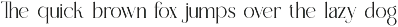 Esence Visting - New Stylish Serif preview