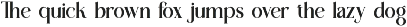Esence Visting - New Stylish Serif preview