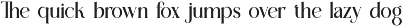 Esence Visting - New Stylish Serif preview