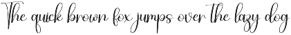 Someday | Script Font preview