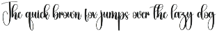 Western | Script Font preview