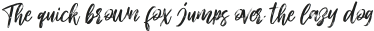 Light Shutter Brush otf (300)