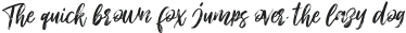 Light Shutter otf (300)