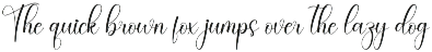 Darling | Script Font preview