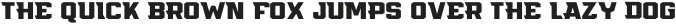 Flyer Bold otf (700)