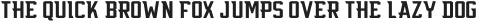 Flyer Condensed otf (400)