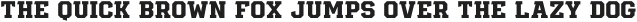 Diesel Bold otf (700)