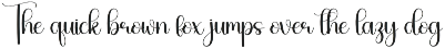 Photography | Script Font preview