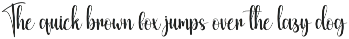 Morning Birthday | Script Font preview