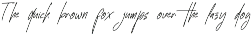 Enhattica Signature Script Font preview