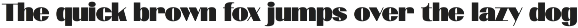 Mionar Vintage Bold Sans Font preview
