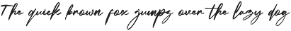 Bottamkia Brush Script Font font preview