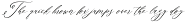 Elorie Calligraphy Script preview