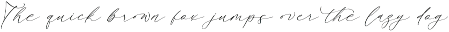 Bestlife Santuary Beautiful Script preview
