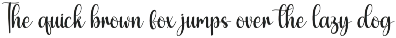 February | Script Font preview