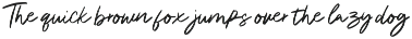 Casual Signature Font Bundles preview
