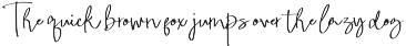 Casual Signature Font Bundles preview