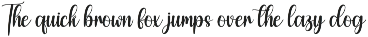 Vintage | Script Font preview