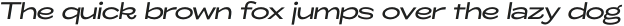 ZT Glora Pro Expanded Italic otf (400) Sample