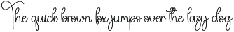 Amsterdam | Script Font preview