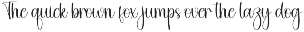 Smoothie | Script Font preview