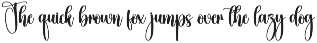 Whiskey | Script Font preview
