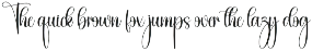 Bestival | Script Font preview