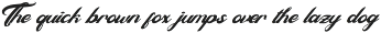 Berdy Danilla | Retro Script Font preview