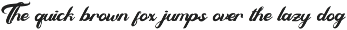 Berdy Danilla | Retro Script Font preview