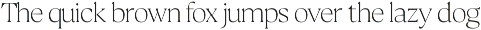 Calibra 20 Fonts | Save 40% font preview