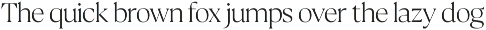 Calibra 20 Fonts | Save 40% preview