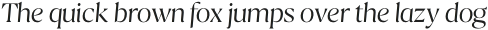Calibra Light Italic otf (300) Sample
