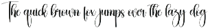 Barbie | Script Font preview