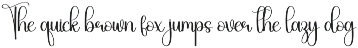 Daytime | Script Font preview